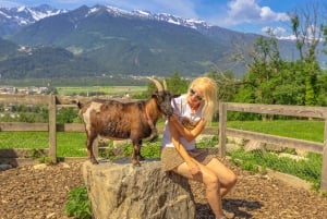 Excursión de un día privada desde Zúrich a Heidiland y Vaduz