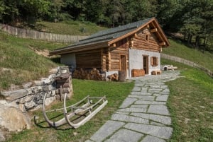 Excursión de un día privada desde Zúrich a Heidiland y Vaduz