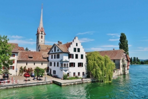 Private day trip: Zurich> Rhine Falls, Stein am Rhein & back