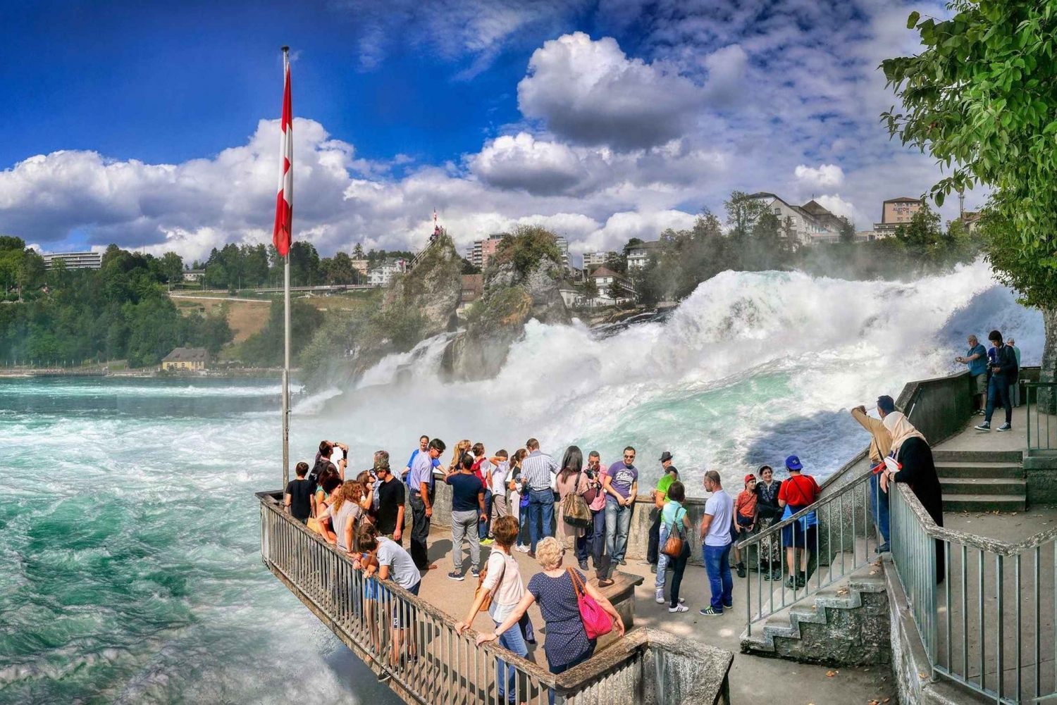 Private day trip: Zurich to Europe's largest Rhine falls