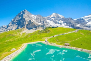 Private driver for tour from Zurich to Jungfraujoch and back