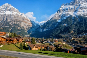 Private driver for tour from Zurich to Jungfraujoch and back