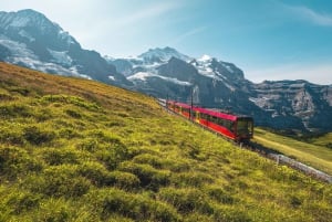 Privatchauffør fra Zürich til Jungfraujoch, Bern og tilbage