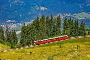 Privatchauffør fra Zürich til Jungfraujoch, Bern og tilbage