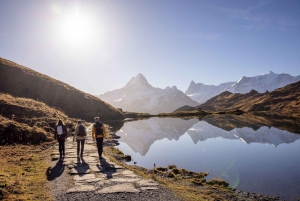 Private Guided Tour to Grindelwald First from Zurich