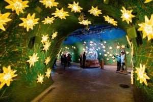 Private Tour from Zurich to Jungfraujoch - The Top of Europe