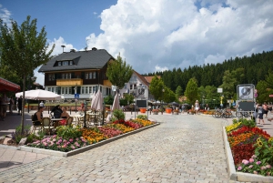 Private Tour from Zurich to Rhine Falls and Black Forest