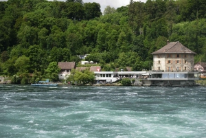 Private Tour from Zurich to Rhine Falls and Black Forest