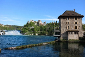 Private Tour from Zurich to Rhine Falls and Black Forest