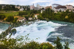 Private Tour from Zurich to Rhine Falls and Black Forest