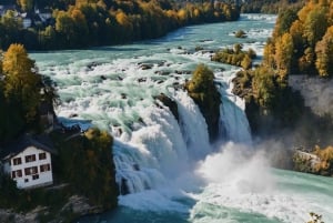 Yksityinen retki Zürichistä Reinin putouksille ja Stein am Rheiniin