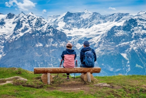 Private tour from Zurich to top of Europe Jungfraujoch