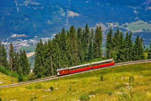 Private tour from Zurich to top of Europe Jungfraujoch