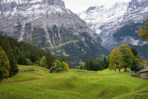 Private tour from Zurich to top of Europe Jungfraujoch