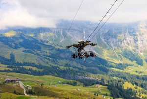 Private tour from Zurich to top of Europe Jungfraujoch