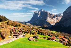 Private tour from Zurich to top of Europe Jungfraujoch