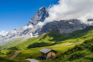 Private tour from Zurich to top of Europe Jungfraujoch