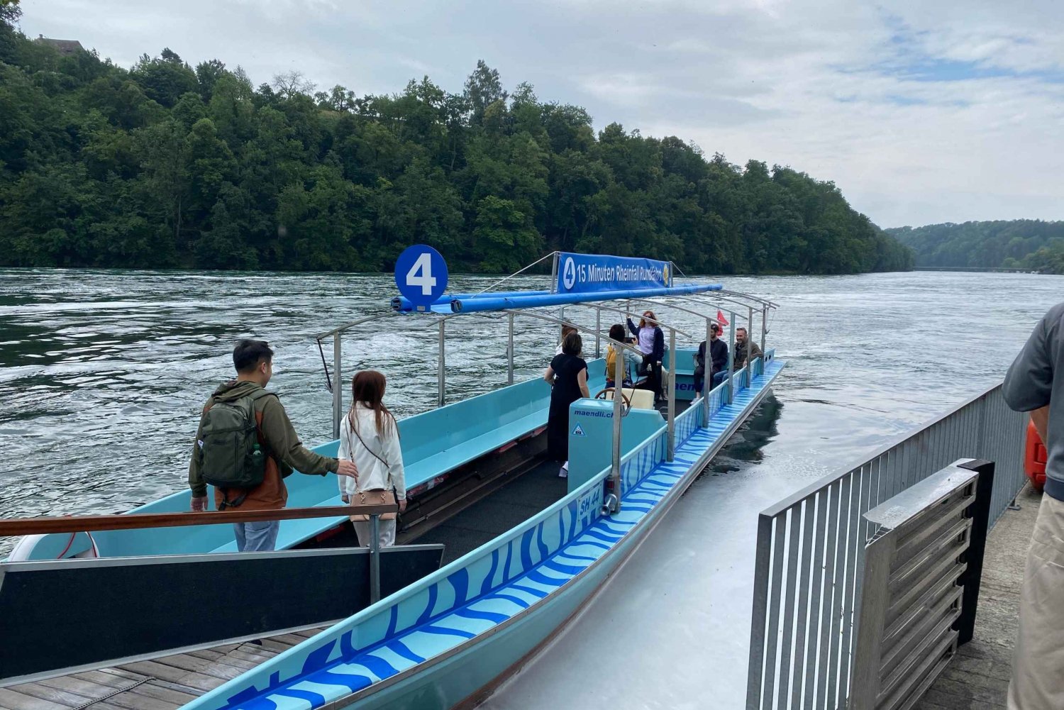 Excursão particular às Cataratas do Reno com embarque no hotel