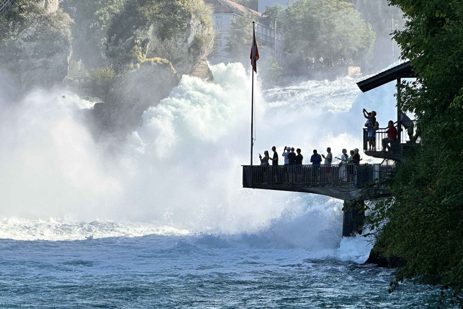 Privat tur til Rhinfaldene med afhentning på hotellet