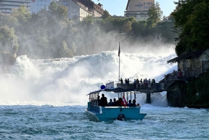 Private Tour to the Rhine Falls with Pick-up at the Hotel