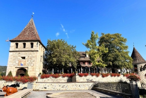 Private Tour to the Rhine Falls with Pick-up at the Hotel