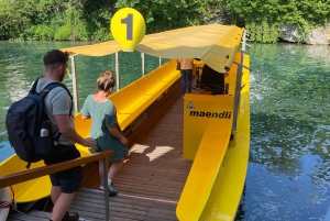 Private Tour to the Rhine Falls with Pick-up at the Hotel