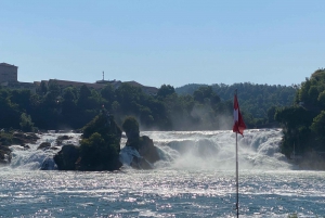 Private Tour to the Rhine Falls with Pick-up at the Hotel