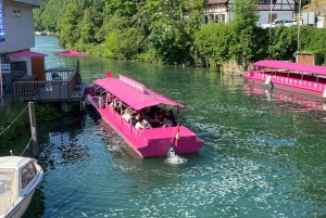 Private Tour to the Rhine Falls with Pick-up at the Hotel