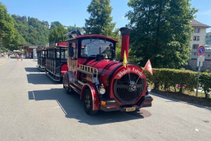 Private Tour to the Rhine Falls with Pick-up at the Hotel