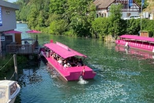 Privat tur til Rhinfaldene med afhentning på hotellet