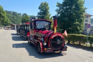 Privat tur til Rhinfaldene med afhentning på hotellet