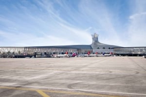 Trasporto privato intorno a Zurigo