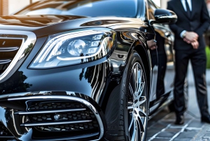 Viagem privada: Basileia>Lucerna+Zurique, motorista que fala inglês