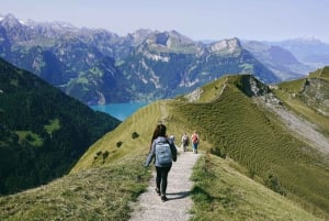 Privé wandeltour in Zürich