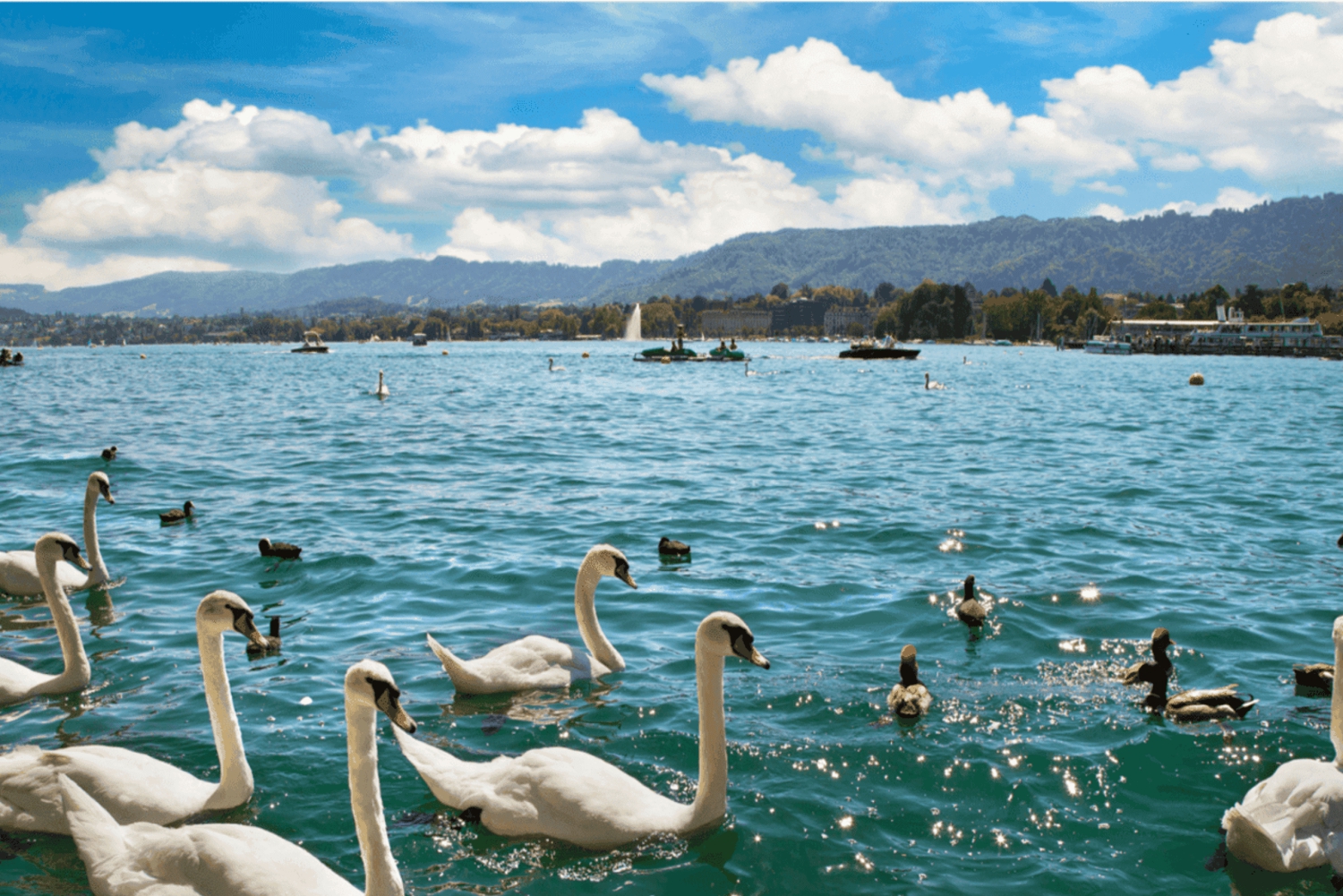 Private Zürich City Tour with Cruise and Lindt Chocolate