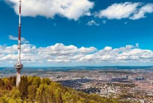 Privat biltur – oppdag Zürichs skjønnhet i komfort