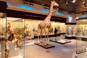 Privat biltur – oppdag Zürichs skjønnhet i komfort