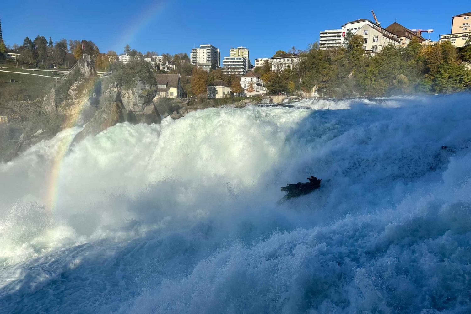 Cataratas del Rin, Schaffhausen y crucero por el Rin | Desde Zúrich