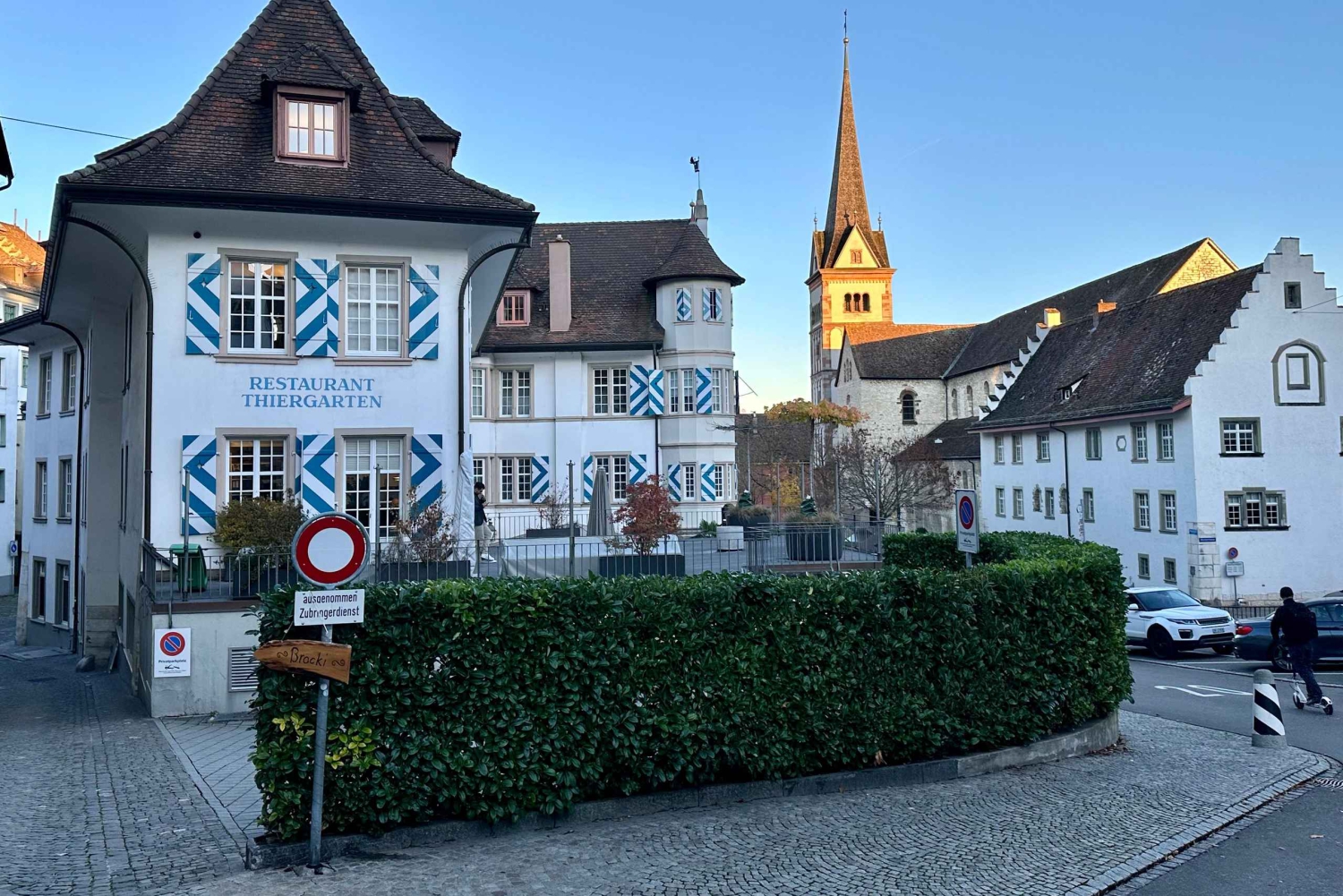 Cataratas del Rin, Schaffhausen y crucero por el Rin | Desde Zúrich