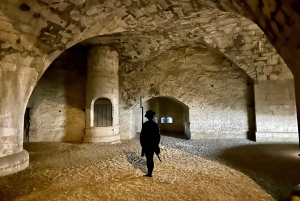 Cataratas del Rin, Schaffhausen y crucero por el Rin | Desde Zúrich