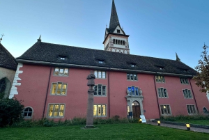 Cataratas del Rin, Schaffhausen y crucero por el Rin | Desde Zúrich