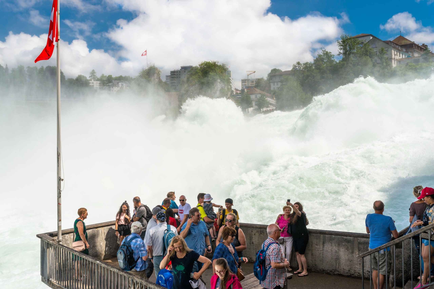Rhine Falls and Black Forest Private Day Trip