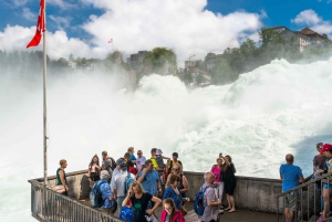 Rhine Falls and Black Forest Private Day Trip