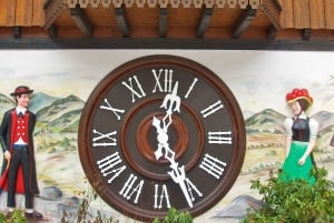 Rhine Falls and Black Forest Private Day Trip