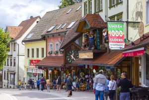 Rhine Falls and Black Forest Private Day Trip