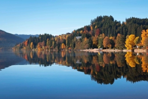 Rhine Falls and Black Forest Private Day Trip