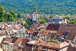 Rhine Falls and Black Forest Private Day Trip