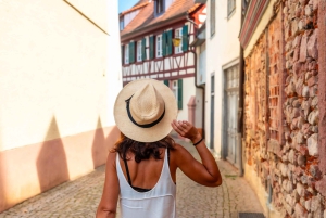 Rhine Falls and Black Forest Private Day Trip