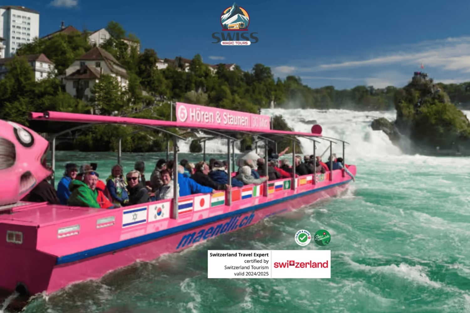 Rhine Falls & Stein am Rhein Private Day Trip