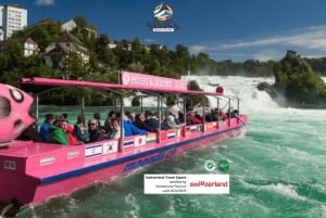 Rhine Falls & Stein am Rhein Private Day Trip